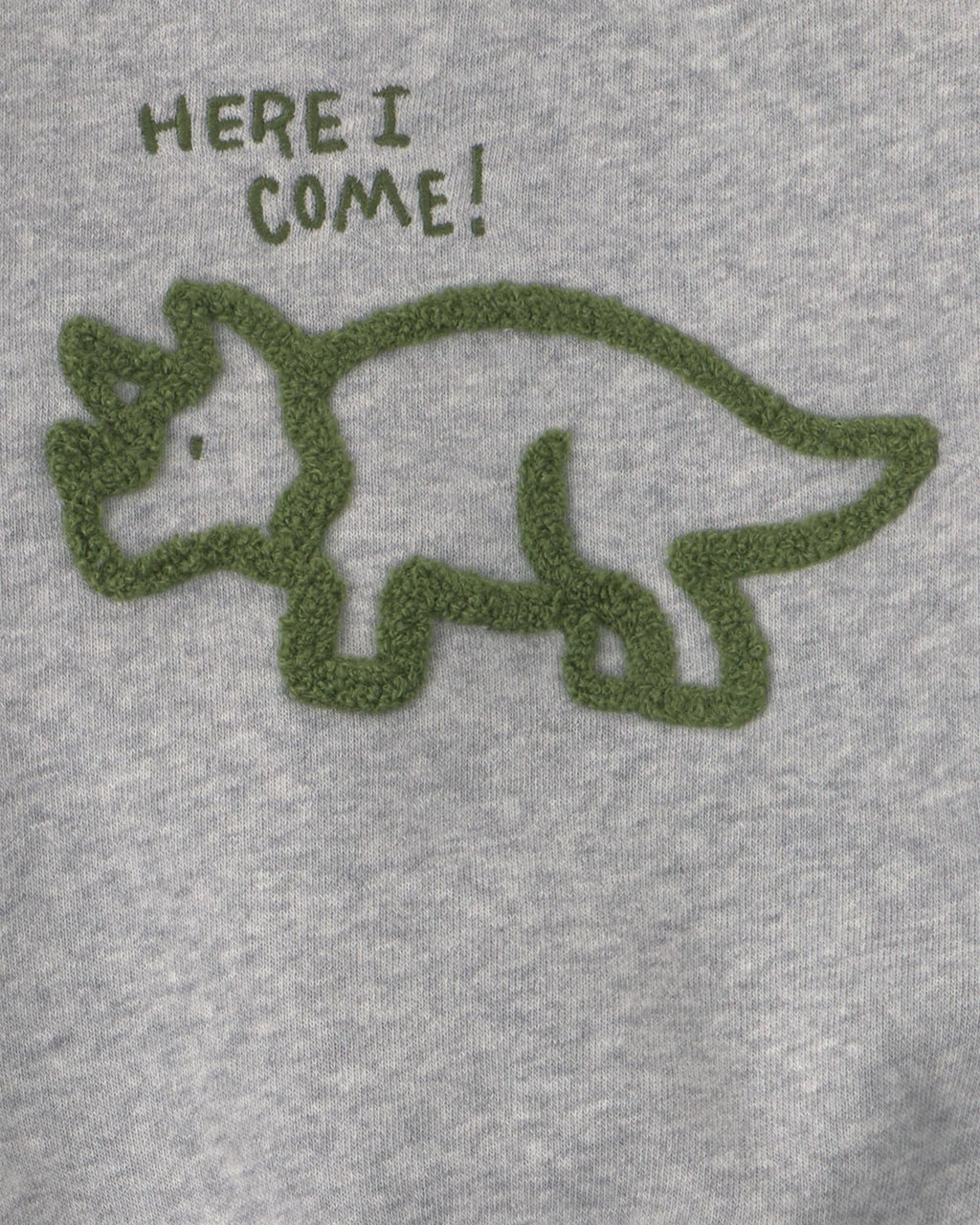 Conjunto 2 Piezas Carter's | Sudadera Gris Triceratops "Here I Come!" + Pantalón Verde Oliva | Bebé Niño (0M - 24M)